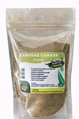 Lantana Camara